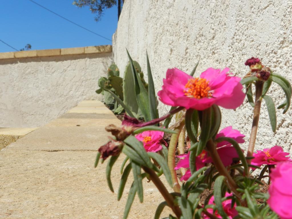 Villa The White Rocks Lido di Noto Exterior foto